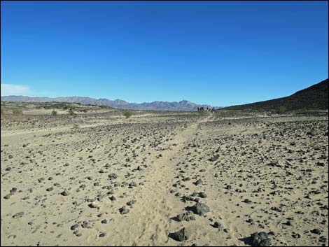 Amboy Crater