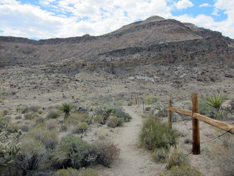 Barber Loop Trail