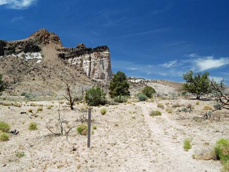 Barber Loop Trail