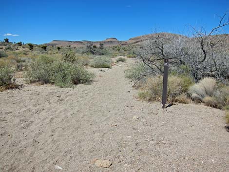 Barber Loop Trail