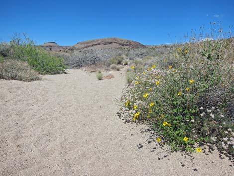 Barber Loop Trail