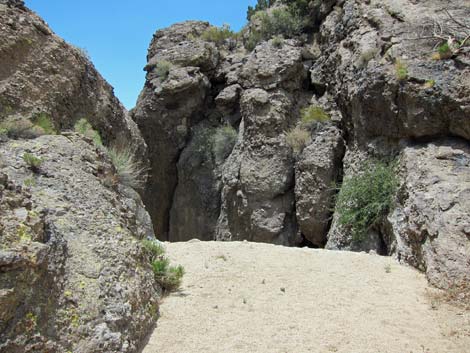 Barber Loop Trail