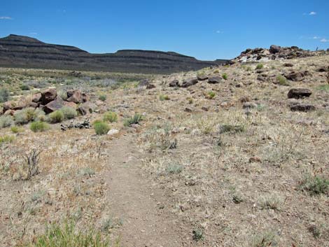 Barber Loop Trail