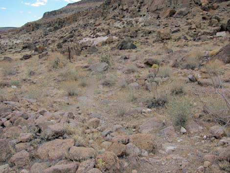 Barber Loop Trail