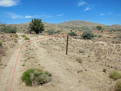 Barber Loop Trail