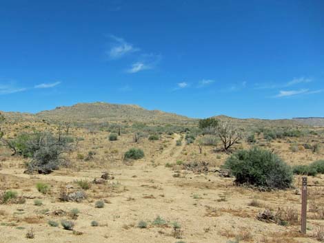 Barber Loop Trail