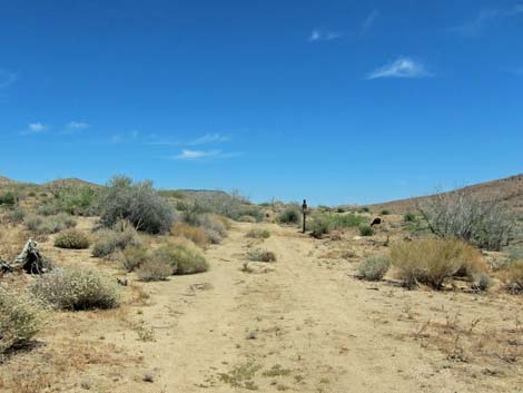 Barber Loop Trail