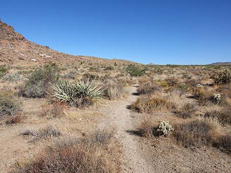 Barber Loop Trail