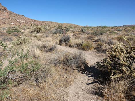 Barber Loop Trail