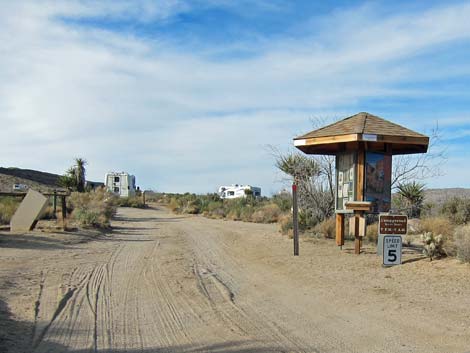 Cactus Garden Loop Trail