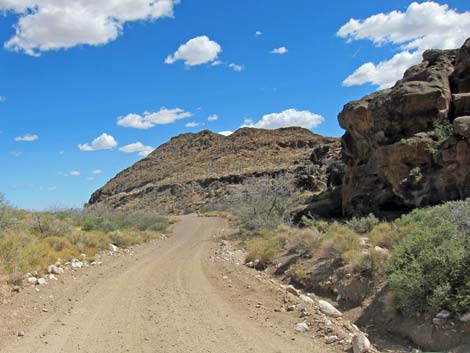 Cactus Garden Loop Trail