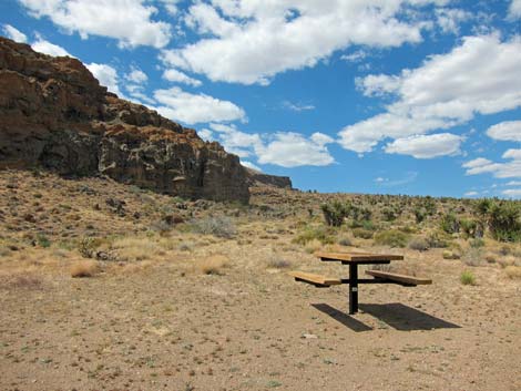 Cactus Garden Loop Trail