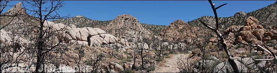 Caruthers Canyon Trail