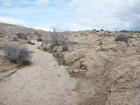 Hole-in-the-Wall to Mid Hills Trail