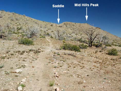 Mid Hills Peak