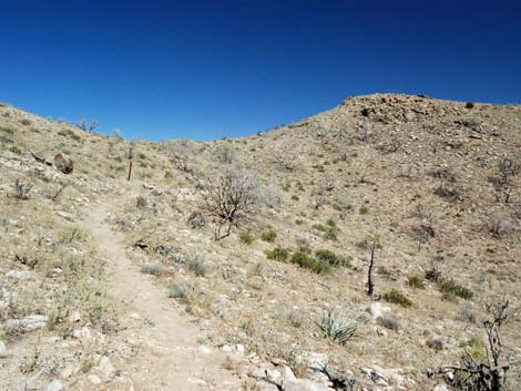 Mid Hills Loop Trail