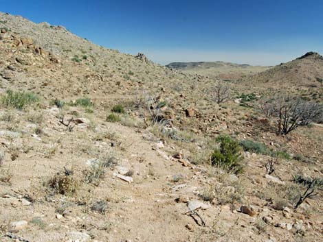 Mid Hills Loop Trail