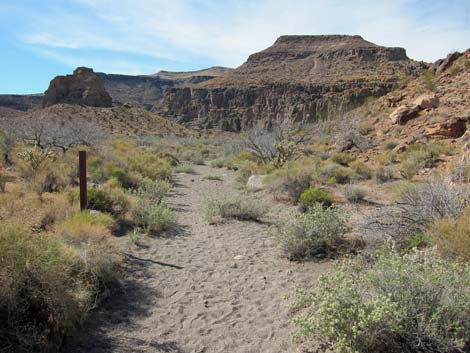 Rings Loop Trail