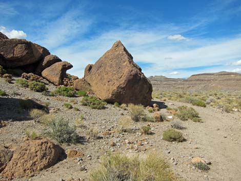 Rings Loop Trail