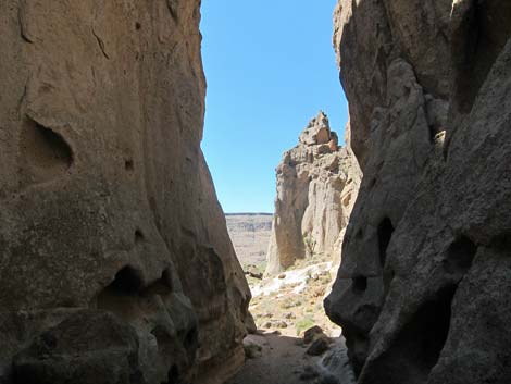 Rings Trail (Banshee Canyon)