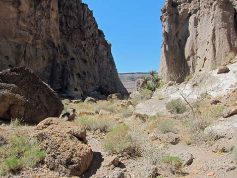 Rings Trail (Banshee Canyon)