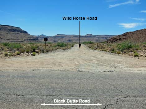 Wild Horse Road