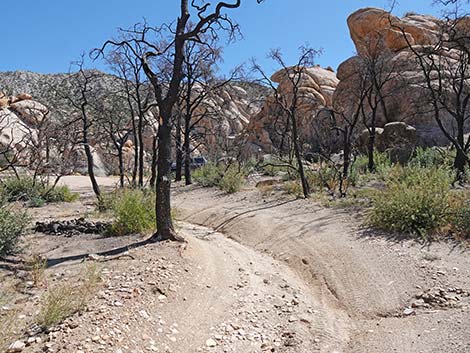 Caruthers Canyon Road