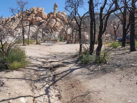 Caruthers Canyon Road