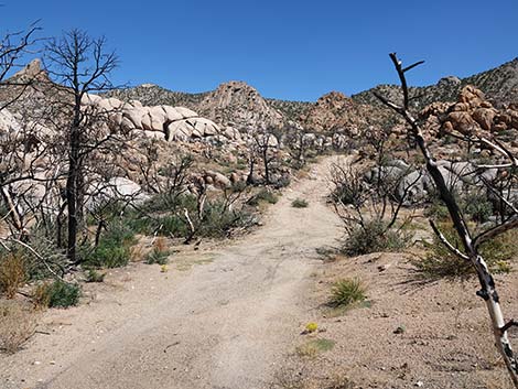 Caruthers Canyon Road