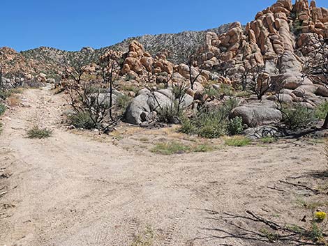 Caruthers Canyon Road