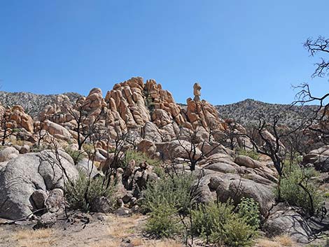 Caruthers Canyon