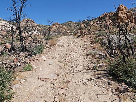 Caruthers Canyon Road