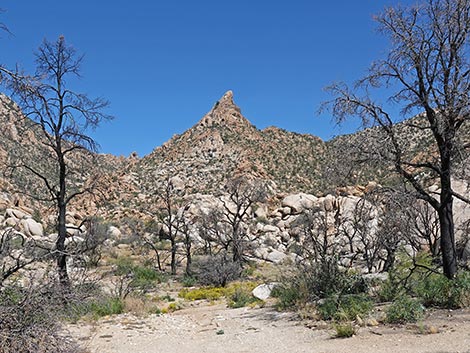 Caruthers Canyon Road