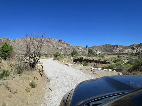 Caruthers Canyon Road