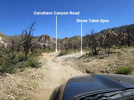 Caruthers Canyon