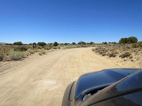 Cedar Canyon Road