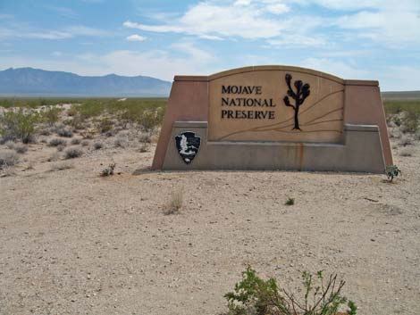 Ivanpah Road