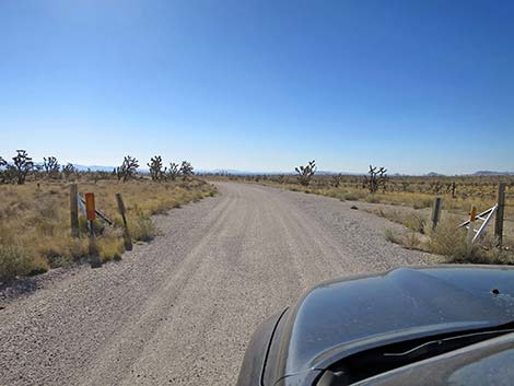 Ivanpah Road