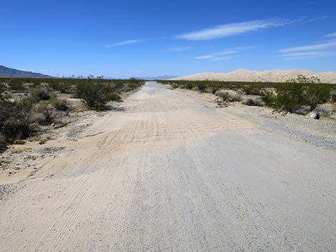 Kelso Dunes Road