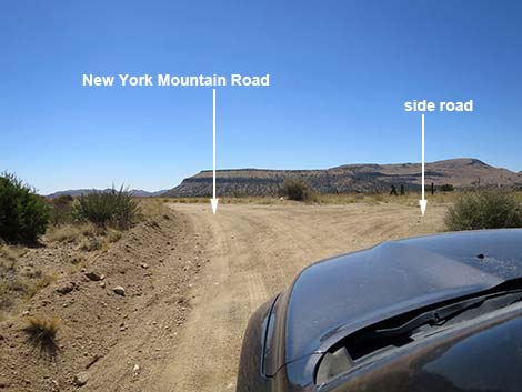 New York Mountain Road