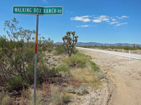 South McCullough Wilderness Area