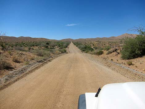 Wild Horse Road