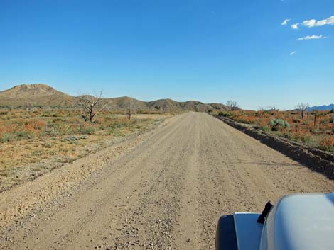 Wild Horse Road