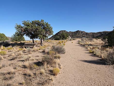 Rock Spring Loop Trail