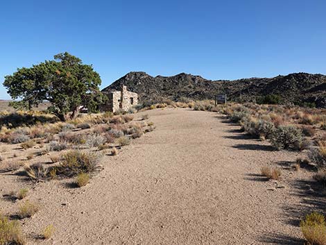 Rock Spring Loop Trail