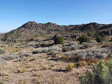 Rock Spring Loop Trail