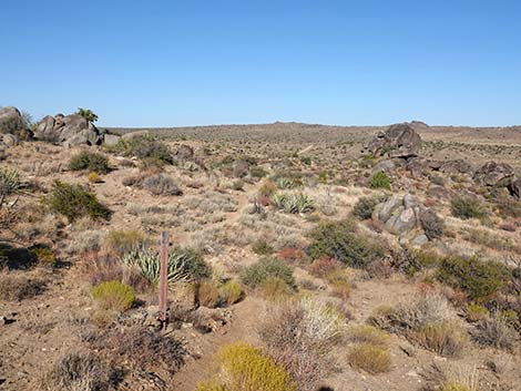 Rock Spring Loop Trail