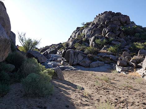 Rock Spring Loop Trail