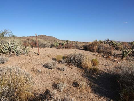 Rock Spring Loop Trail