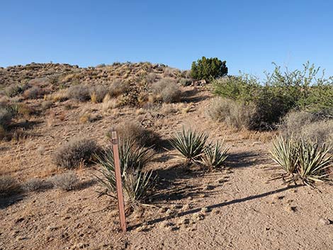 Rock Spring Loop Trail